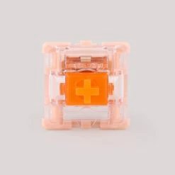 Tecsee Coral Tactile Switches
