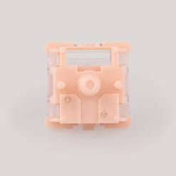 Tecsee Coral Tactile Switches