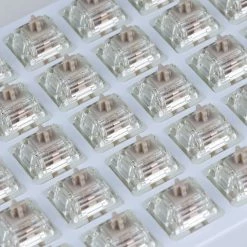 Shop Gateron Baby Racoon Linear Switches