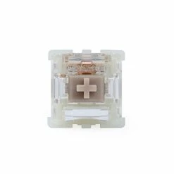 Shop Gateron Baby Racoon Linear Switches